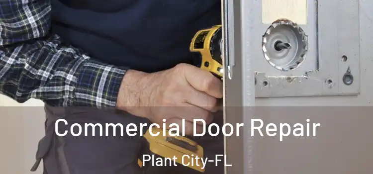 Commercial Door Repair Plant City-FL