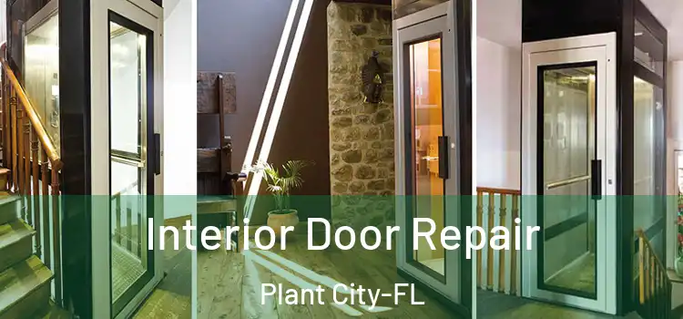 Interior Door Repair Plant City-FL