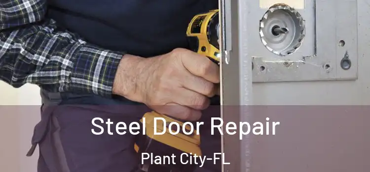 Steel Door Repair Plant City-FL