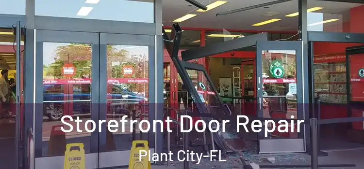 Storefront Door Repair Plant City-FL